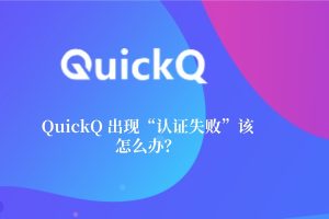 QuickQ电脑版无法登录？账号验证与网络排查指南？