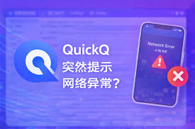 QuickQ电脑版公共网络连接失败？DNS与代理设置教程